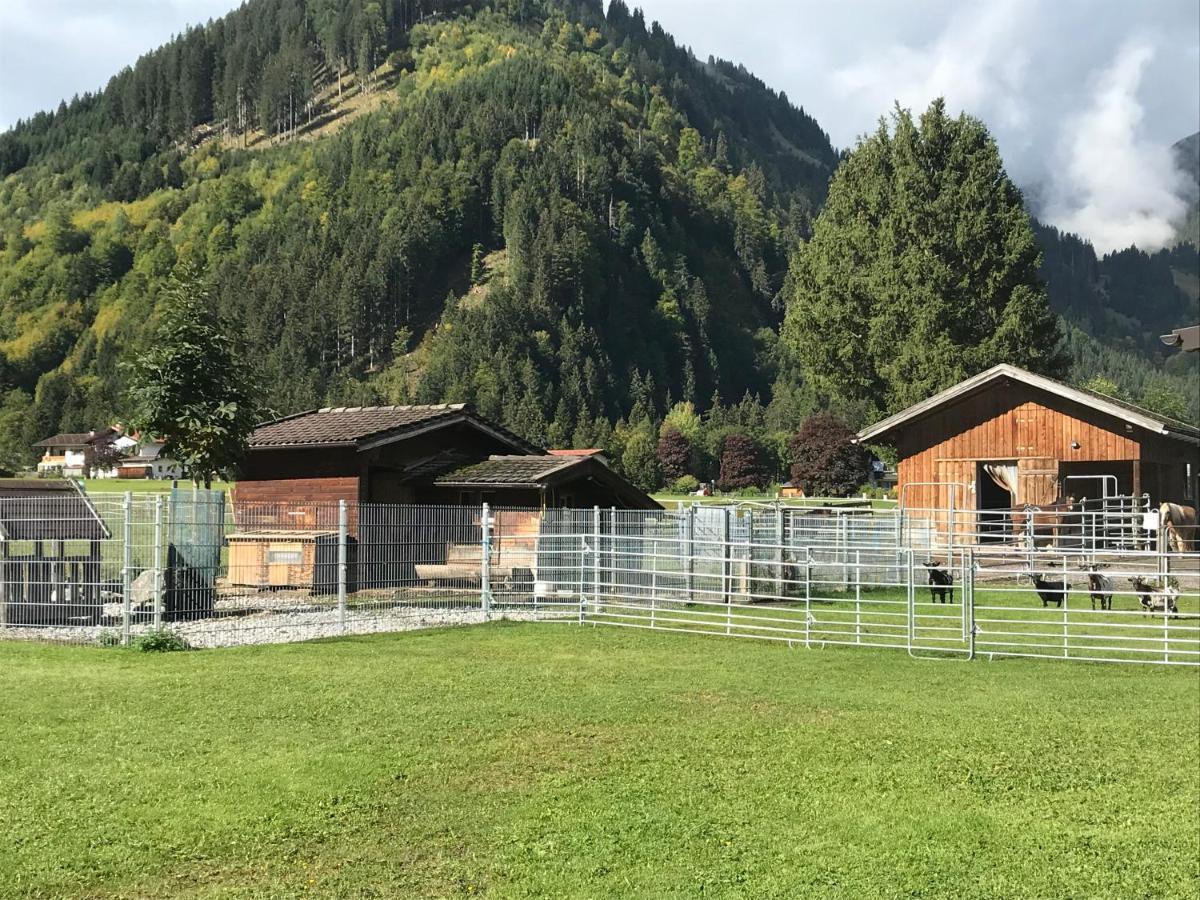 Pony-Ziegen-Hasen-Ranch Bichlbach Daire Dış mekan fotoğraf