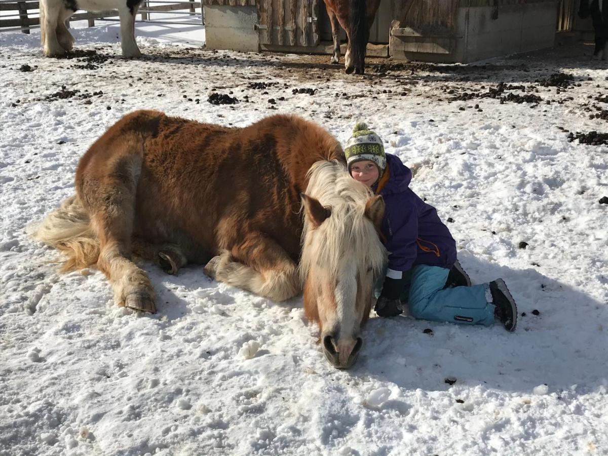 Pony-Ziegen-Hasen-Ranch Bichlbach Daire Dış mekan fotoğraf