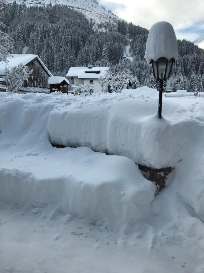 Pony-Ziegen-Hasen-Ranch Bichlbach Daire Dış mekan fotoğraf