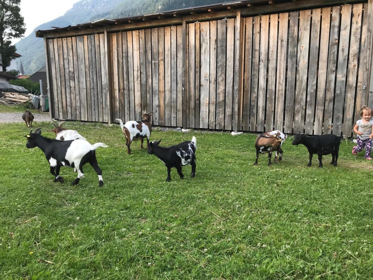 Pony-Ziegen-Hasen-Ranch Bichlbach Daire Dış mekan fotoğraf